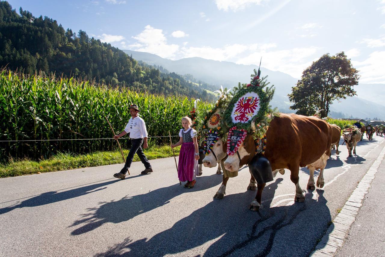 Apartmán Apart Sprenger Fugen Im Zillertal Exteriér fotografie