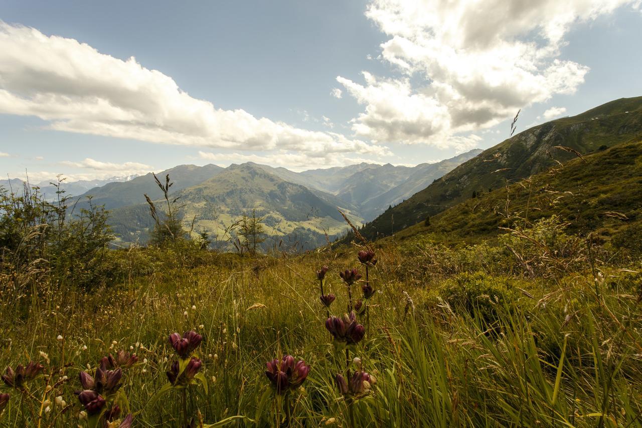 Apartmán Apart Sprenger Fugen Im Zillertal Exteriér fotografie