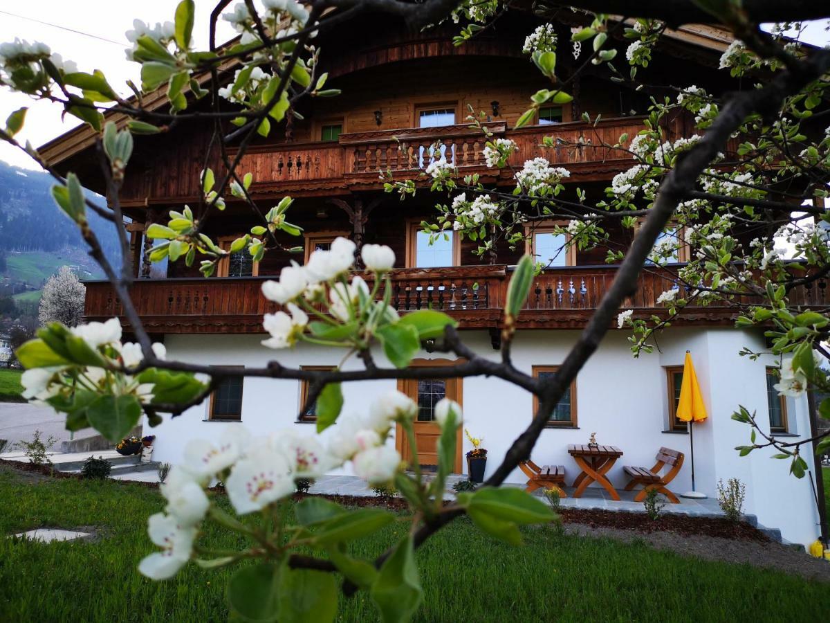 Apartmán Apart Sprenger Fugen Im Zillertal Exteriér fotografie